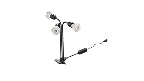 LED Grow Lights for Indoor Plants