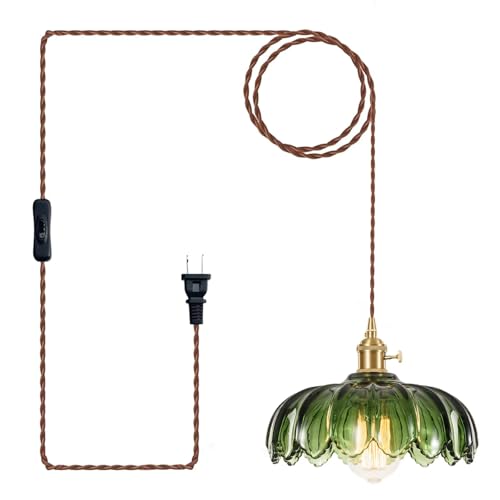 Plug in Pendant Light Fixtures