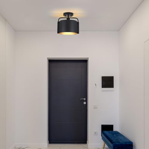 Flush Mount Ceiling Light