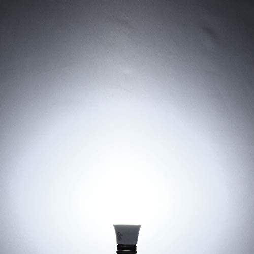 A19 LED Bulb 60W Equivalent