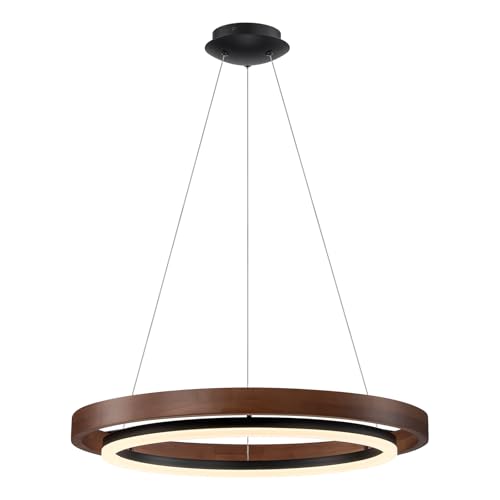 Modern LED Chandelier