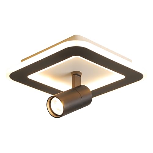 Modern LED Ceiling Lights with 1 spotlights 9.8Inch Black Ceiling Lights with Remote Control Dimmable