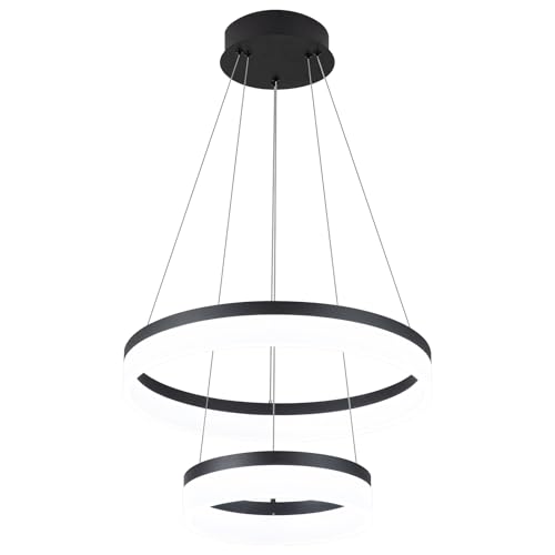 2 Ring Modern LED Chandelier