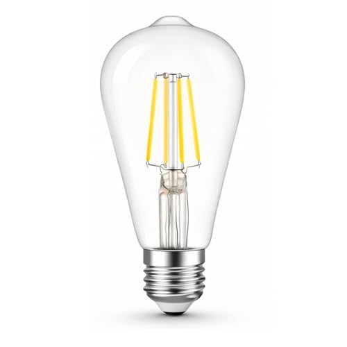 Vintage Edison LED Bulb