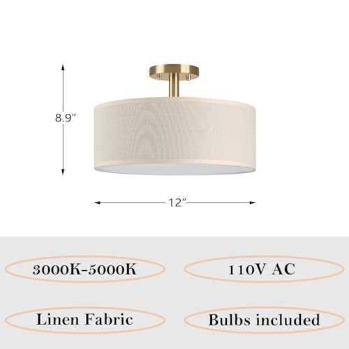 LED Adjustable 3000