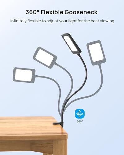 LED Desk Lamp with Clamp