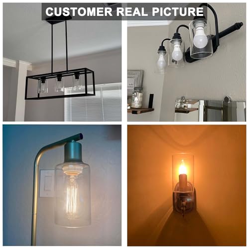 3Pcs Clear Glass Lamp Shade