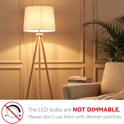 A19 LED Light Bulbs (24 Count)