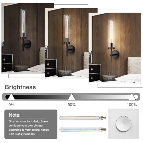 Black Wall Sconce
