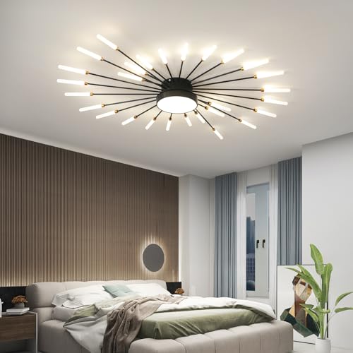 Modern Ceiling Light