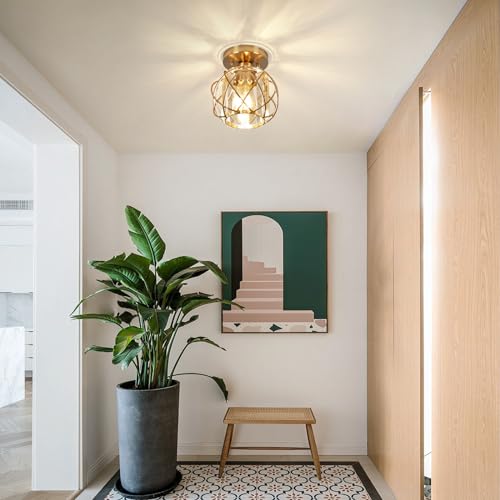 Hallway Light Fixtures Ceiling