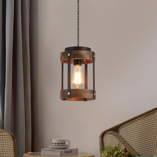 Rustic Farmhouse Plug in Pendant Light Fixture with Adjustable Chain