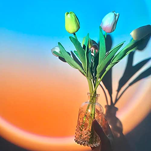Sunset Lamp Projection Rotation Rainbow Projection Lamp Led Romantic Visual Led Light Network Red Light with USB Modern Floor Stand Night Light Living Room Bedroom Décor
