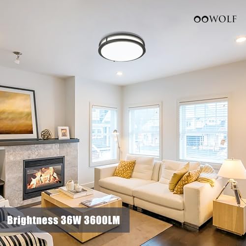 12inch LED Flush Mount Ceiling Light Fixture Dimmable Matte Black (2 Count)