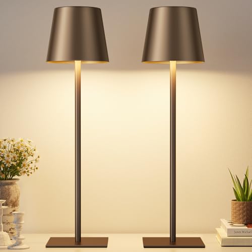 Brown Cordless Rechargeable Table Lamp