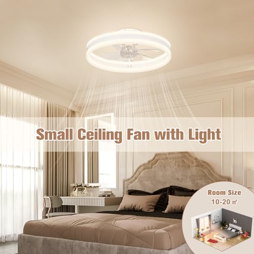 Fandelier Ceiling Fans with Lights and Remote