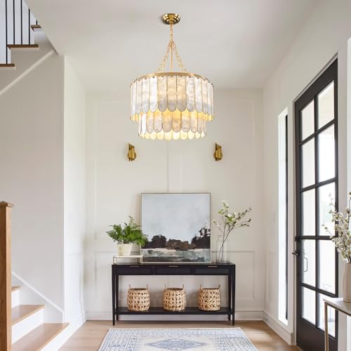 Modern 5 Light Shell Chandelier