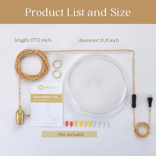 Plug in Pendant Light