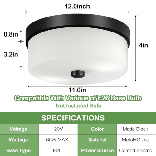 Black Flush Mount Ceiling Light Fixtures