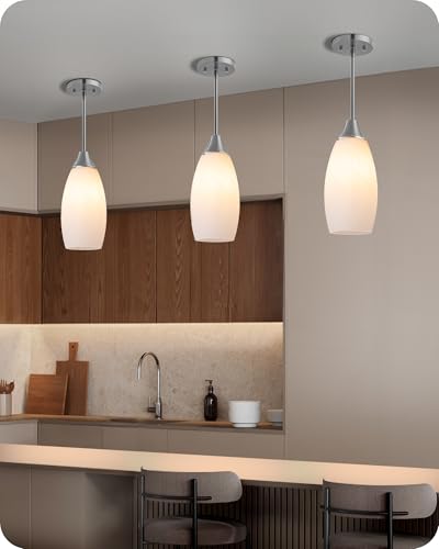 Pendant Light Fixture