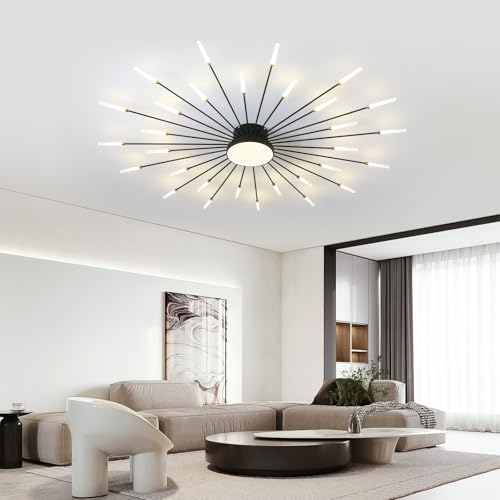 Modern Ceiling Light