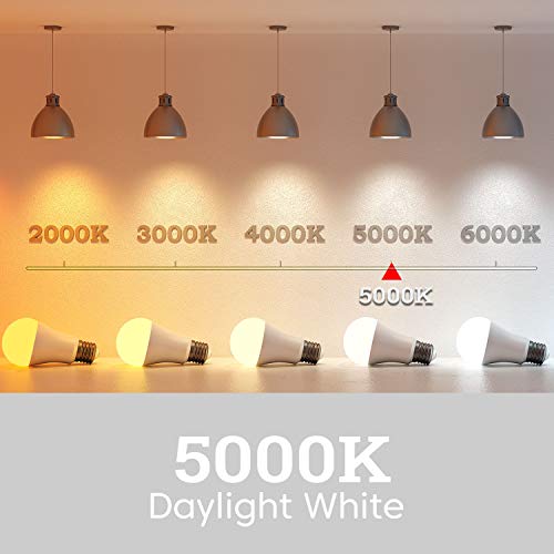 A19 LED Light Bulbs (6 Count)