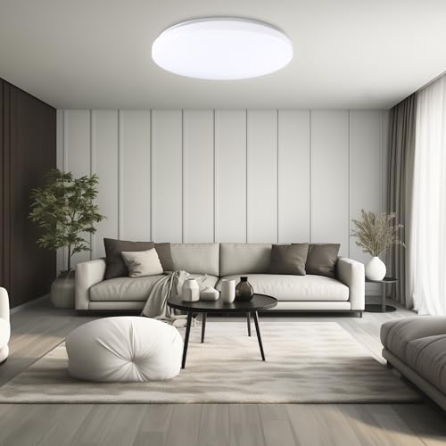 20 inch Ceiling Light Flush Mount 48W