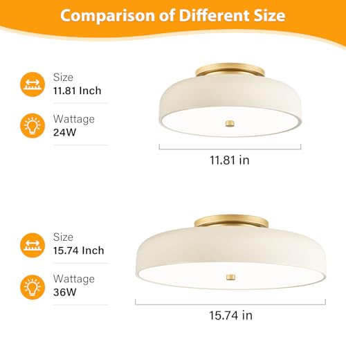 Dimmable LED Ceiling Light Fixture