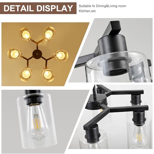 6 Light Modern Farmhouse Black Chandelier (6 Count)