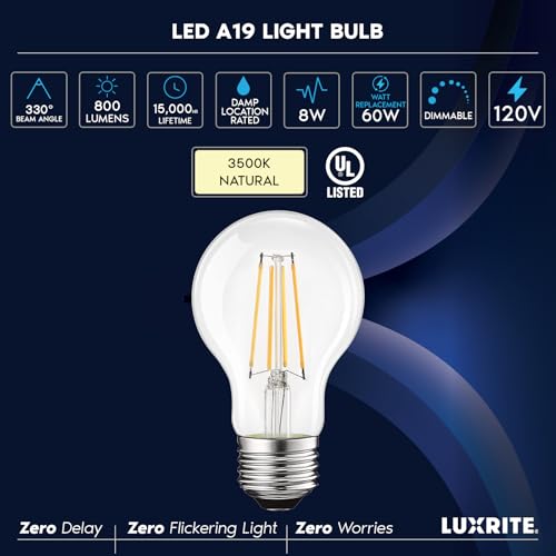 Vintage A19 LED Light Bulbs 60W Equivalent (6 Count)