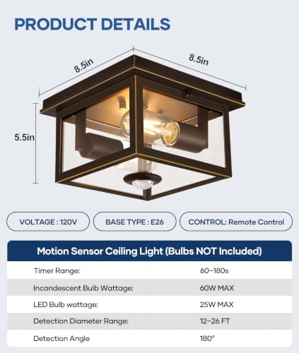Motion Sensor Outdoor Ceiling Light with Remote