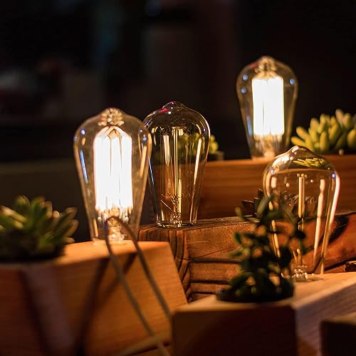 36 Pack Dimmable Vintage E26 LED Light Bulb (36 Count)
