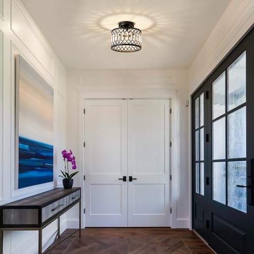 Crystal Black Ceiling Light