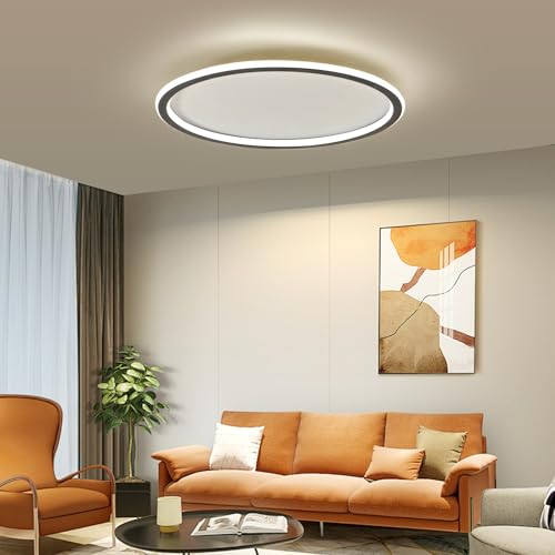 19.68 Inch Flush Mount Ceiling Light