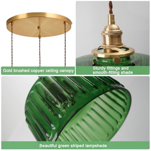 3 Light Modern Chandelier Pendant Light