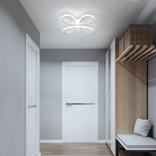 Modern LED Ceiling Light
