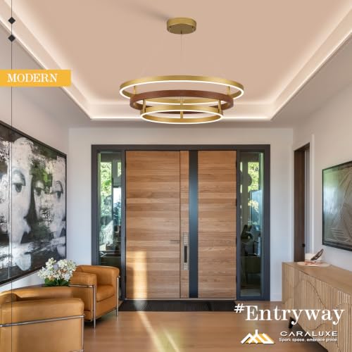 3 Ring LED Chandelier Modern Chandeliers Red Walnut Wood Gold Dimmable 24''