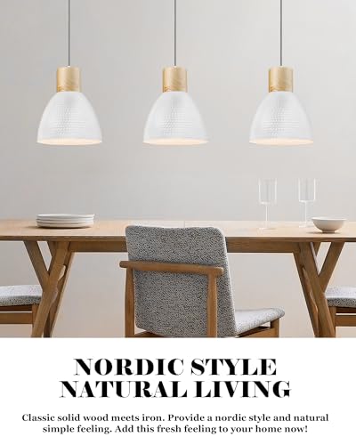 2 Pack Hammered Pendant Light Fixtures (2 Count)