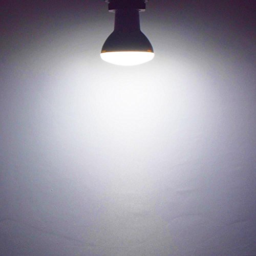 BR20 LED Light Bulb