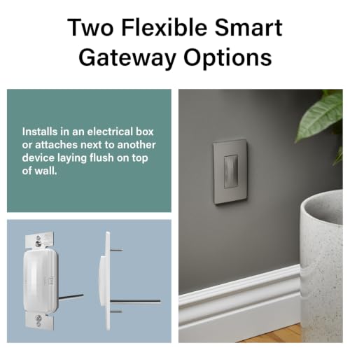 Radiant with Netatmo Smart Rocker Dimmer Switch