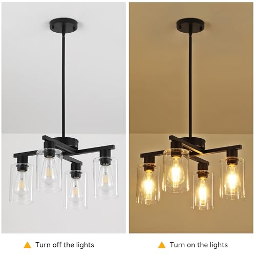 4 Light Modern Farmhouse Black Chandelier