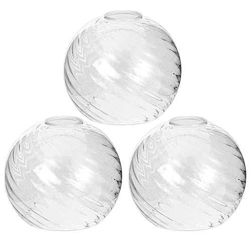 2 Pack Lamp Globe Glass Shade (2 Count)