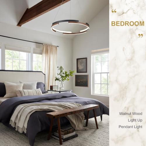 Modern LED Ring Chandeliers