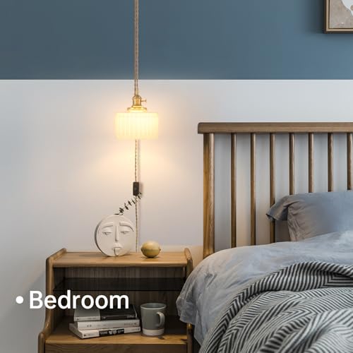 Plug in Pendant Light Hanging Light Fixture Corded On