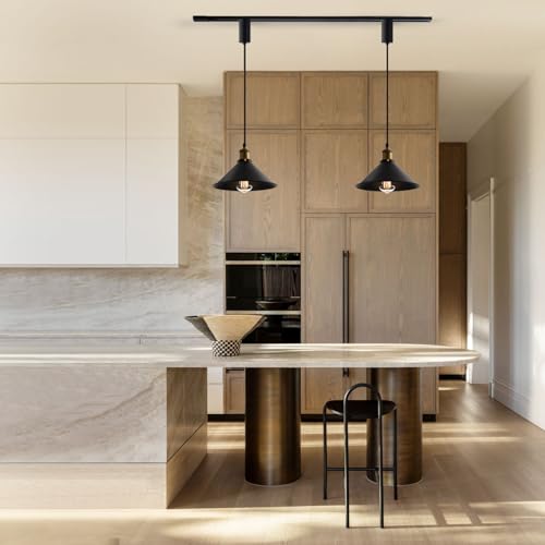 H Type Matte Black E26 Socket Track Lighting Pendant