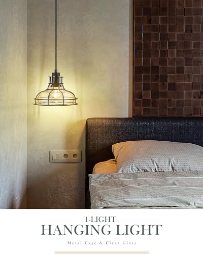 8.7" Industrial Pendant Lights with Glass Shade & Metal Cage