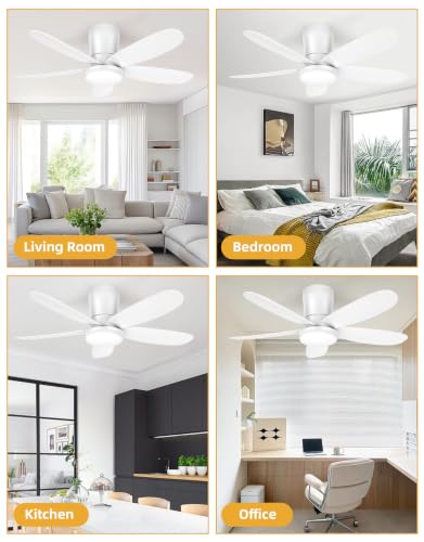 Ceiling Fans with Lights