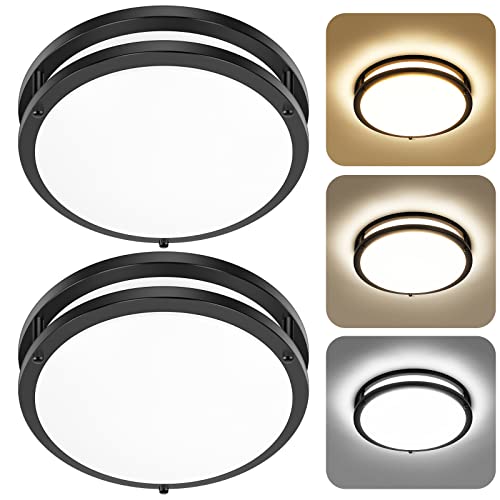 12 Inch Flush Mount Ceiling Lights (2 Count)