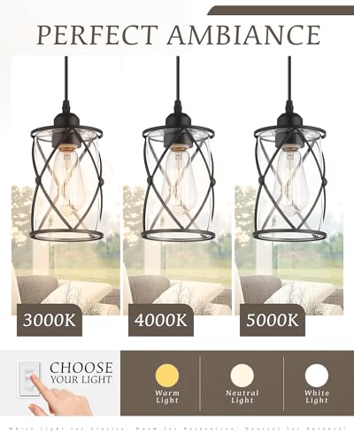 Glass Pendant Lights Kitchen Island 2 Pack (2 Count)