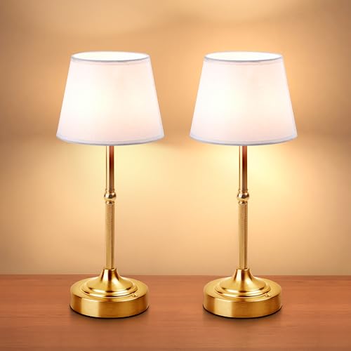 2 Pack Cordless Table Lamp (2 Count)